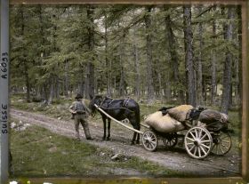 Image représentant Un homme pose avec un cheval et une charette dans une forêt