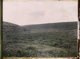 Image représentant France, Vaux, Ravin du Bazil entre le fort de Vaux et le fort de Douaumont