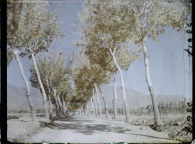 Image représentant Afghanistan, Kaboul, La route de Paghman Kaboul, autre aspect