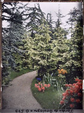 Image représentant Buissons d'azalées et de rhododendrons en fleurs longeant un chemin menant de la forêt bleue à la forêt dorée