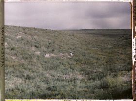 Image représentant France, Vaux, Ravin de la Caillette  Dans le fond, fort de Douaumont