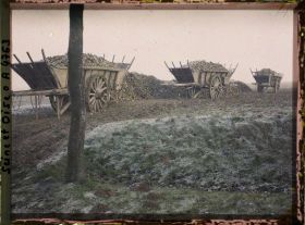 Image représentant France, Près de Vautherland, Les 3 Charrettes de betteraves