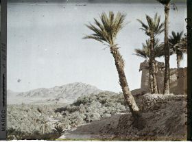 Image représentant Vue de la palmeraie avec au fond le Djebel Grouz, et à droite une tour de garde