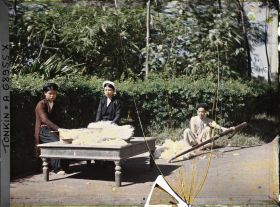 Image représentant Le cardage du kapok