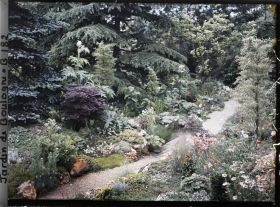 Image représentant Arbres et rocaille fleurie au bord d'un chemin du " sanctuaire japonais " menant au sorinto