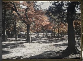 Image représentant Temple Nanzen-ji ou Eikan-dô Zenrin-ji