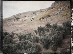 Image représentant Vers le Temenos ou Hieron (sanctuaire) d'Apollon (vue en contre-plongée)