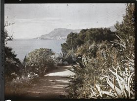 Image représentant le jardin . abords de Miramar