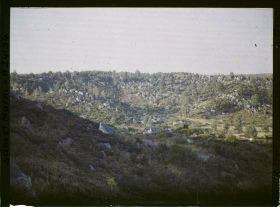 Image représentant Forêt