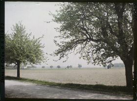 Image représentant France , Montigny-le-Bretonneux, Un Champs de blé nouvellement ensemencé