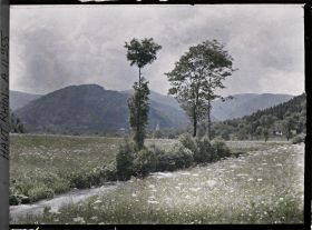 Image représentant Haute vallée de la Doller, clocher de Sewen