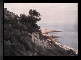 Image représentant La pointe du cap et le sentier des douaniers surplombés par pins et roches proches de la villa Kahn