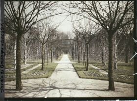 Image représentant Axe central du verger-roseraie vu en direction du jardin anglais depuis le rond-point côté dépendance