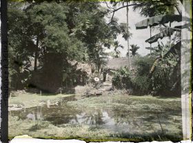 Image représentant Au bord d'une mare dans un village