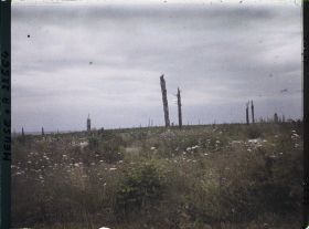 Image représentant France, Vaux, Bois de la Laufée