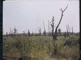 Image représentant France, Cumières, Le bois de Cumières, Village