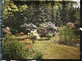 Image représentant Pavots d'Orient et arbustes en fleurs ornant la partie nord-est du marais, vue dans cette direction