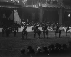 Image représentant Concours hippique au Grand Palais