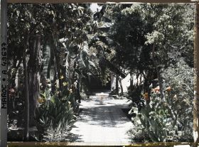 Image représentant Un riyâd (jardin intérieur), de style andalou, dans le palais de la Bahia