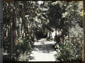 Image représentant Un riyâd (jardin intérieur), de style andalou, dans le palais de la Bahia