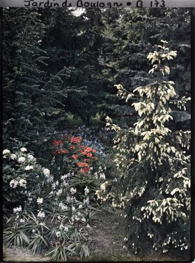Image représentant Epicéas et parterre fleuri dans la forêt dorée