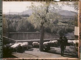 Image représentant France , Tardets, Le marché aux Bestiaux