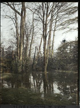 Image représentant La grande pelouse inondée