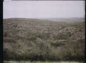 Image représentant France, Vaux, Ravin de la Horgne