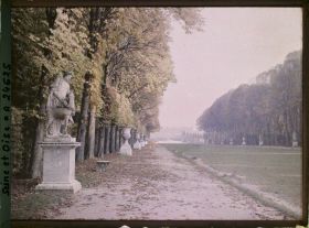 Image représentant France, Versailles, Parc de Versailles - Contre-allée du Tapis Vert