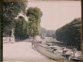 Image représentant Aspect de la végétation dans le parc, la Grande Cascade