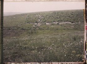 Image représentant France, Mort-Homme, Le bois des Caurettes