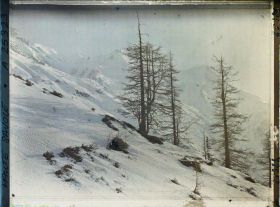 Image représentant France Les Alpes, Le Plan de l'Aiguille, Mt Blanc, Dome et Aige du Gouter, Glacier des Bossons et derniers arbres de la Montagne (mélèzes du Couloir de la Cornua)