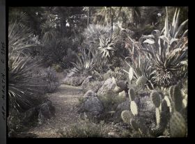 Image représentant Le Jardin