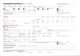 Image représentant Deux féticheuses d'Aligbonon