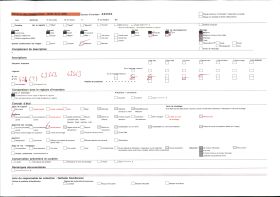 Image représentant Deux féticheuses d'Aligbonon
