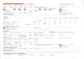 Image représentant Apatam du fétiche Zangbéto et case du fétiche Dan