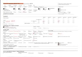 Image représentant Palmeraie sur la route de Daagbé