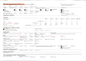 Image représentant Fétiche Lègba