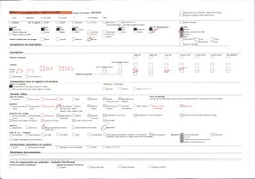 Image représentant La route allant de Porto Novo à Adjarra, bordée de culture de manioc et palmiers à huile