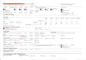 Image représentant La route allant de Porto Novo à Adjarra, bordée de culture de manioc et palmiers à huile