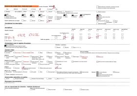 Image représentant La route allant de Porto Novo à Adjarra, bordée de culture de manioc et palmiers à huile