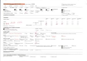 Image représentant Manioc et palmiers à huile