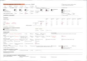 Image représentant Deux féticheuses de Doudoua