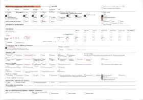 Image représentant Féticheuse Iya Ègbé de Doudoua
