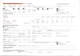 Image représentant Féticheuse Iya Ègbé de Doudoua