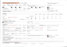Image représentant Le chef féticheur du Serpent, prêtre au culte de Dangbé