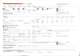 Image représentant Le chef féticheur du Serpent, prêtre au culte de Dangbé