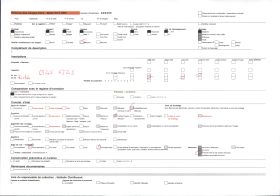 Image représentant Case du fétiche Dan