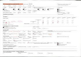 Image représentant Joueurs de tam-tam yorouba et tambours royaux