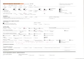 Image représentant France, Strasbourg, Le Capitaine Delahache, Secrétre Gal du Bas Rhin, dans la Cour du Bezistes prœsidium (offert)